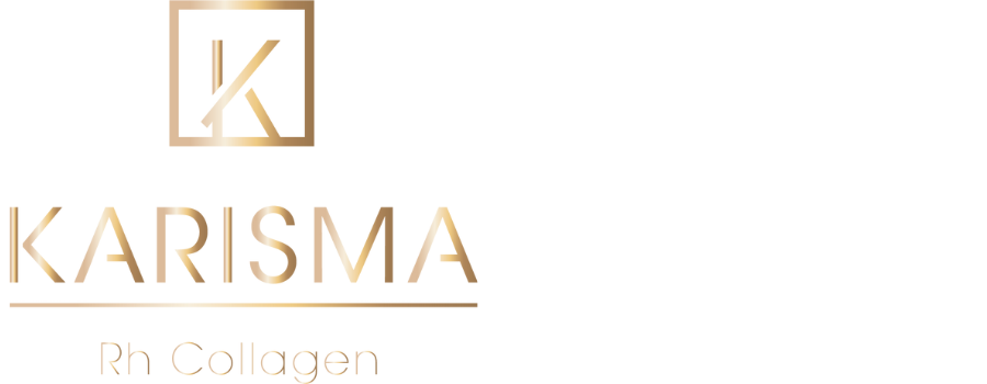web logo karisma