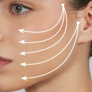 Areas EXCELLENCE VISAGE METHOD (2) ÁREA DEL PÓMULO Y ÁREA MENTAL-EVS METHOD