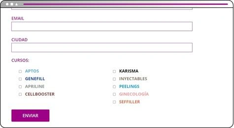 previsualización formulario